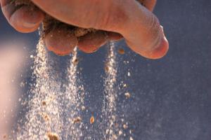 451260441_65d0881d6a_o