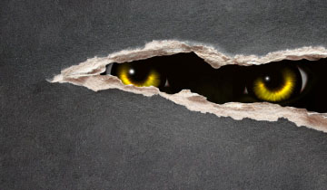 When in doubt wear a&nbsp;dress