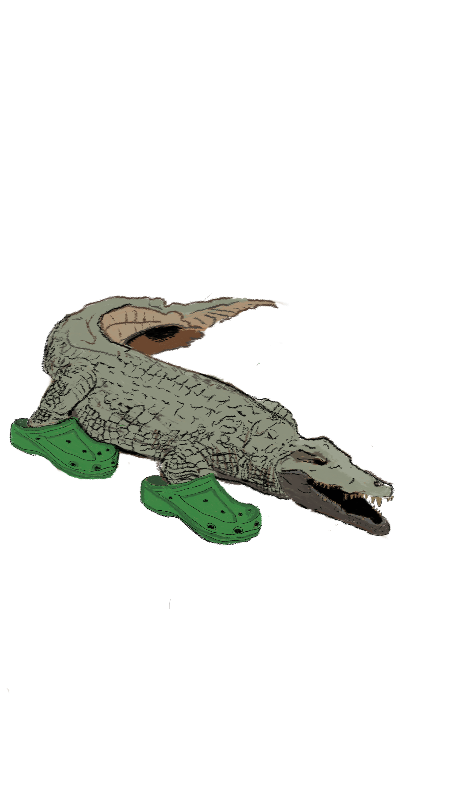 croc-idile